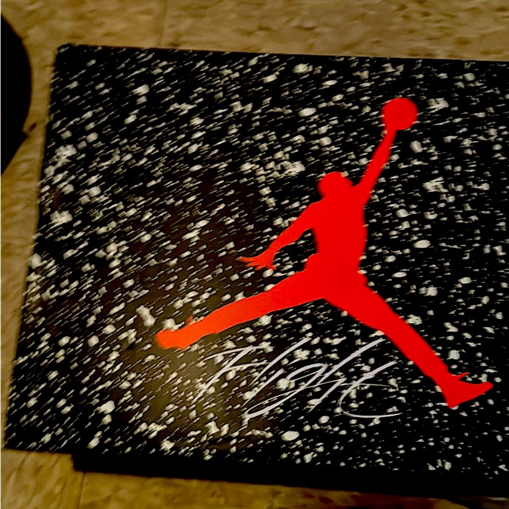 Official Jordan Spizikes